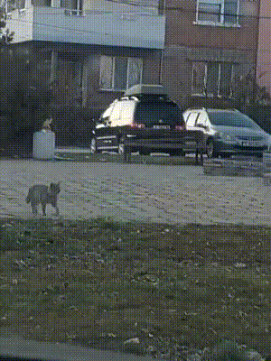 3DM����һ�̵�1672�� �Ը�����ſ��ԡ������㣡