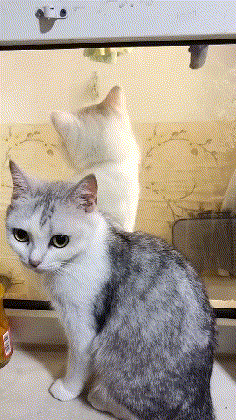 3DM����һ�̵�1672�� �Ը�����ſ��ԡ������㣡