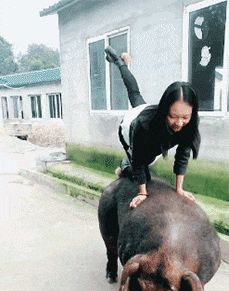 3DM����һ�̵�1672�� �Ը�����ſ��ԡ������㣡