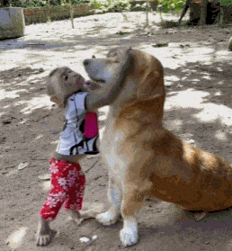 3DM����һ�̵�1671�� �����������������ˣ�