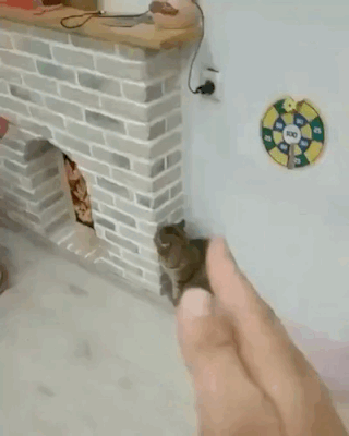 3DM����һ�̵�1671�� �����������������ˣ�