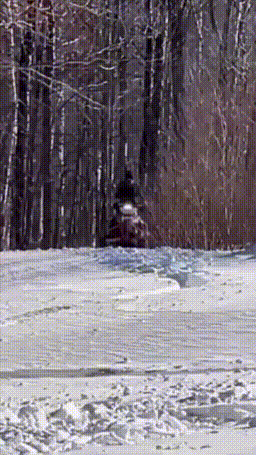 3DM����һ�̵�1671�� �����������������ˣ�