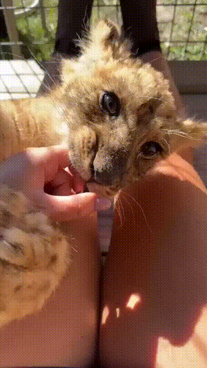 3DM����һ�̵�1671�� �����������������ˣ�