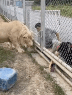 3DM����һ�̵�1675�� �������ɹ�������ֻ���