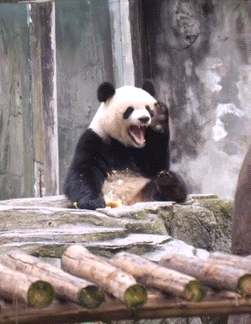 3DM����һ�̵�1675�� �������ɹ�������ֻ���