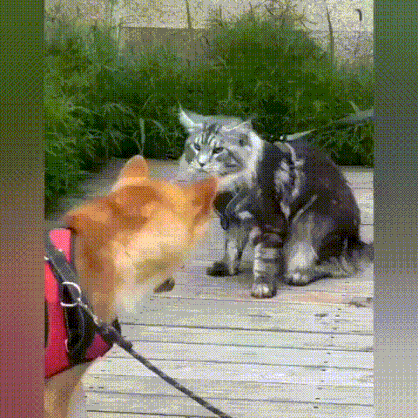 3DM����һ�̵�1675�� �������ɹ�������ֻ���