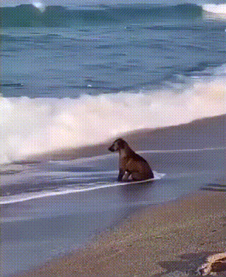 3DM����һ�̵�1675�� �������ɹ�������ֻ���