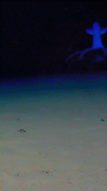 3DM����һ�̵�1675�� �������ɹ�������ֻ���