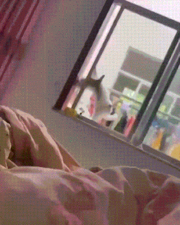 3DM����һ�̵�1675�� �������ɹ�������ֻ���