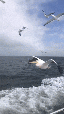 3DM����һ�̵�1675�� �������ɹ�������ֻ���