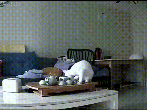 3DM����һ�̵�1676�� ��Ů����Ϸ�ֱ����㹲�棡