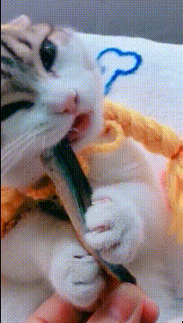 3DM����һ�̵�1676�� ��Ů����Ϸ�ֱ����㹲�棡