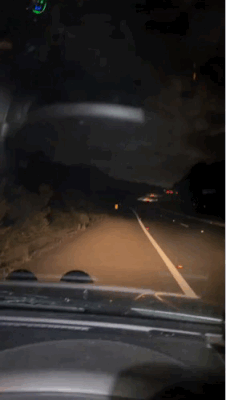 3DM����һ�̵�1676�� ��Ů����Ϸ�ֱ����㹲�棡