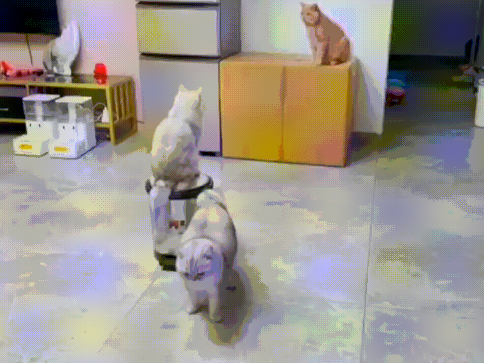 3DM����һ�̵�1676�� ��Ů����Ϸ�ֱ����㹲�棡