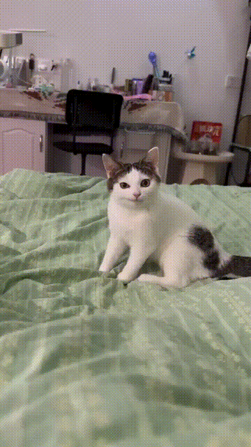 3DM����һ�̵�1676�� ��Ů����Ϸ�ֱ����㹲�棡