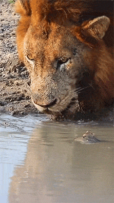 3DM����һ�̵�1676�� ��Ů����Ϸ�ֱ����㹲�棡