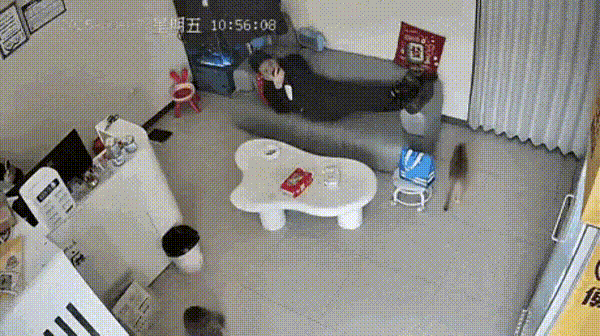 3DM����һ�̵�1676�� ��Ů����Ϸ�ֱ����㹲�棡