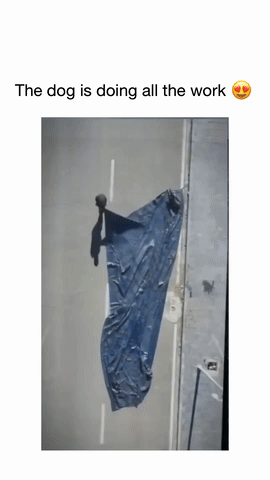 3DM����һ�̵�1676�� ��Ů����Ϸ�ֱ����㹲�棡