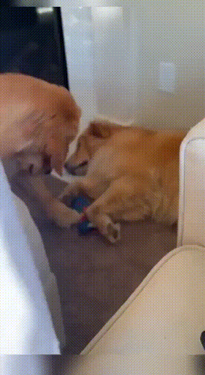 3DM����һ�̵�1676�� ��Ů����Ϸ�ֱ����㹲�棡