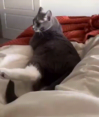 3DM����һ�̵�1676�� ��Ů����Ϸ�ֱ����㹲�棡