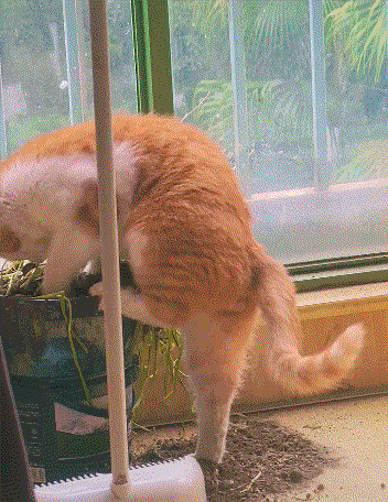 3DM����һ�̵�1678�� ����Ů���Ӻ��ϰ���