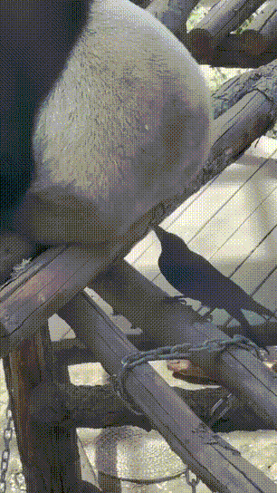 3DM����һ�̵�1678�� ����Ů���Ӻ��ϰ���