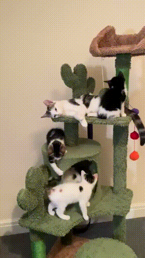 3DM����һ�̵�1678�� ����Ů���Ӻ��ϰ���