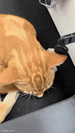 3DM����һ�̵�1678�� ����Ů���Ӻ��ϰ���