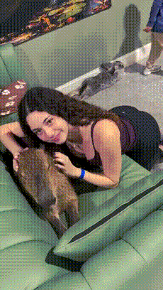 ��һ�ں���ͼ�Ʒ�ϵ�� ��Ů�²������������ʱ��