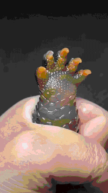 3DM����һ�̵�1678�� ����Ů���Ӻ��ϰ���