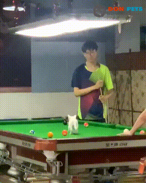 3DM����һ�̵�1678�� ����Ů���Ӻ��ϰ���