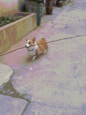 3DM����һ�̵�1678�� ����Ů���Ӻ��ϰ���