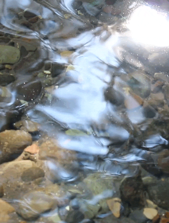 ��һ�ں���ͼ�Ʒ�ϵ�� ��Ů�²������������ʱ��