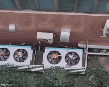 3DM����һ�̵�1678�� ����Ů���Ӻ��ϰ���