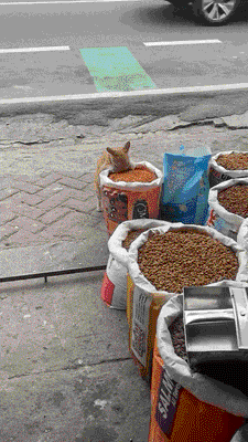 3DM����һ�̵�1678�� ����Ů���Ӻ��ϰ���