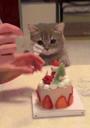 3DM����һ�̵�1678�� ����Ů���Ӻ��ϰ���