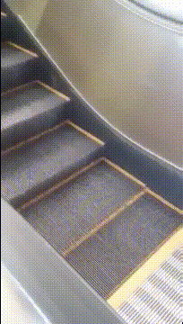 3DM����һ�̵�1678�� ����Ů���Ӻ��ϰ���