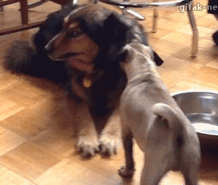 3DM����һ�̵�1678�� ����Ů���Ӻ��ϰ���