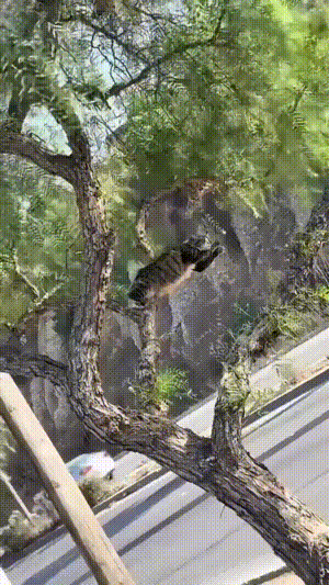 3DM����һ�̵�1681�� ��˿������Ů�ں�������