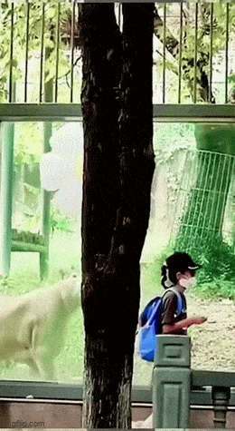 3DM����һ�̵�1681�� ��˿������Ů�ں�������