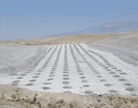 3DM����һ�̵�1681�� ��˿������Ů�ں�������