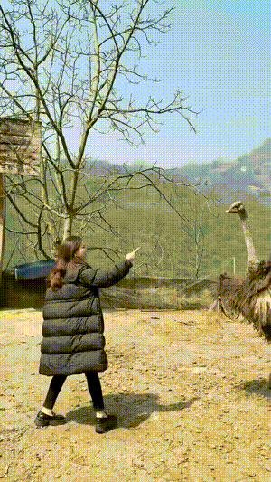 3DM����һ�̵�1681�� ��˿������Ů�ں�������