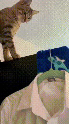 3DM����һ�̵�1681�� ��˿������Ů�ں�������