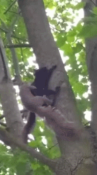 3DM����һ�̵�1681�� ��˿������Ů�ں�������