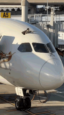 3DM����һ�̵�1684�� ��������Ԩ��ԨҲ��������