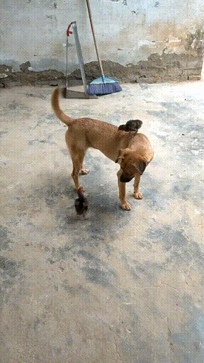 3DM����һ�̵�1684�� ��������Ԩ��ԨҲ��������