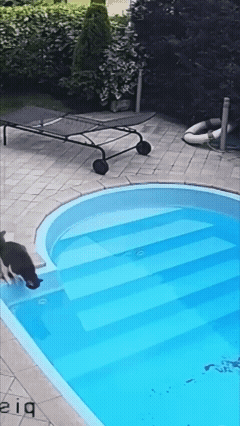 3DM����һ�̵�1684�� ��������Ԩ��ԨҲ��������