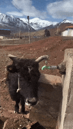 3DM����һ�̵�1684�� ��������Ԩ��ԨҲ��������