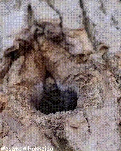 3DM����һ�̵�1684�� ��������Ԩ��ԨҲ��������