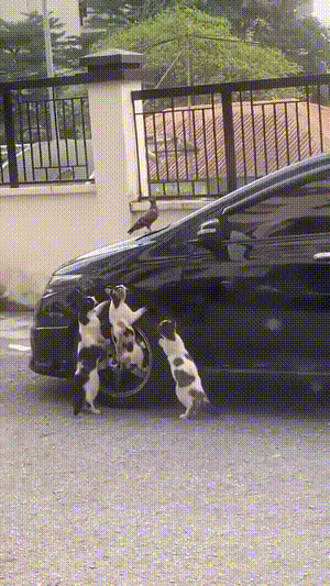 3DM����һ�̵�1684�� ��������Ԩ��ԨҲ��������